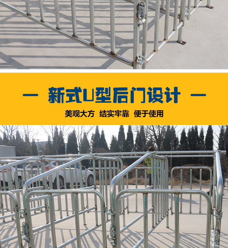 佰牧興非標2.0母豬限位欄