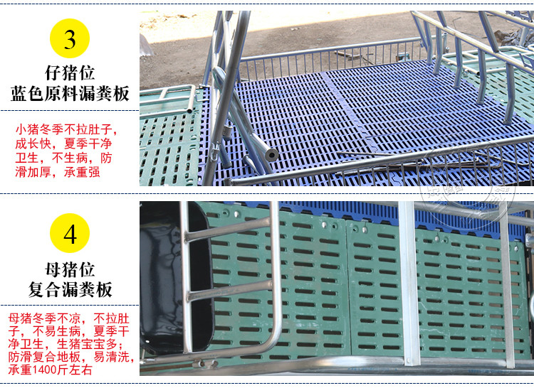 山東佰牧興國標2.5復合雙體母豬產(chǎn)床 