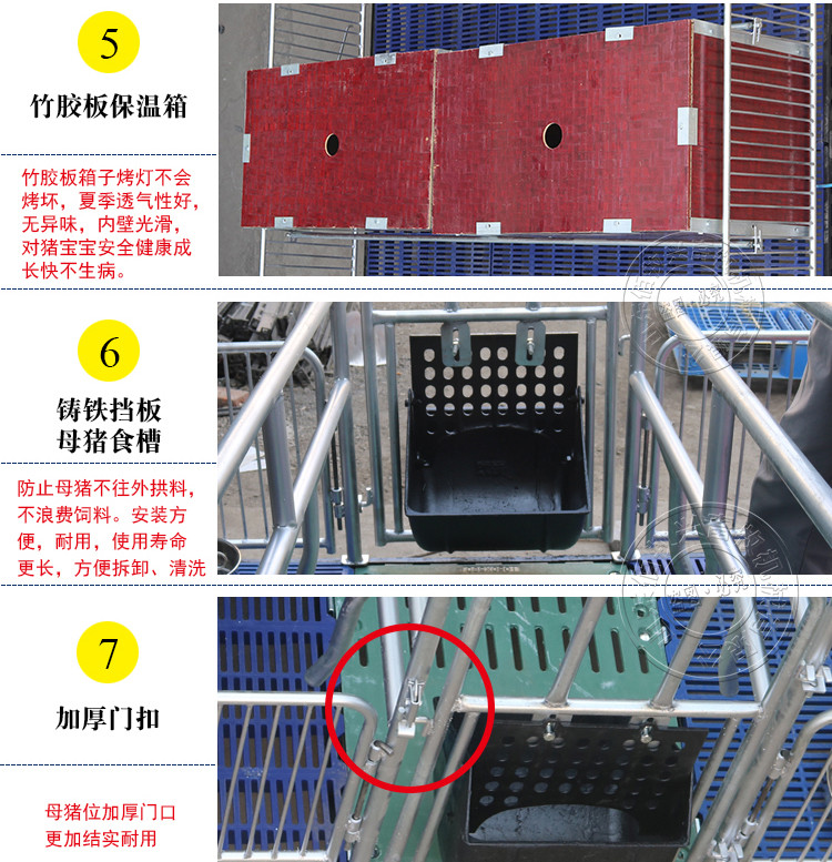 山東佰牧興國標2.5復合雙體母豬產(chǎn)床 