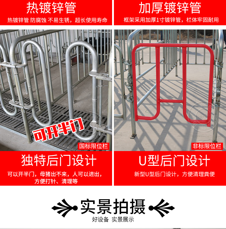 國(guó)標(biāo)母豬限位欄